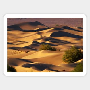 Sand Dunes Sticker